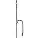 rotulador