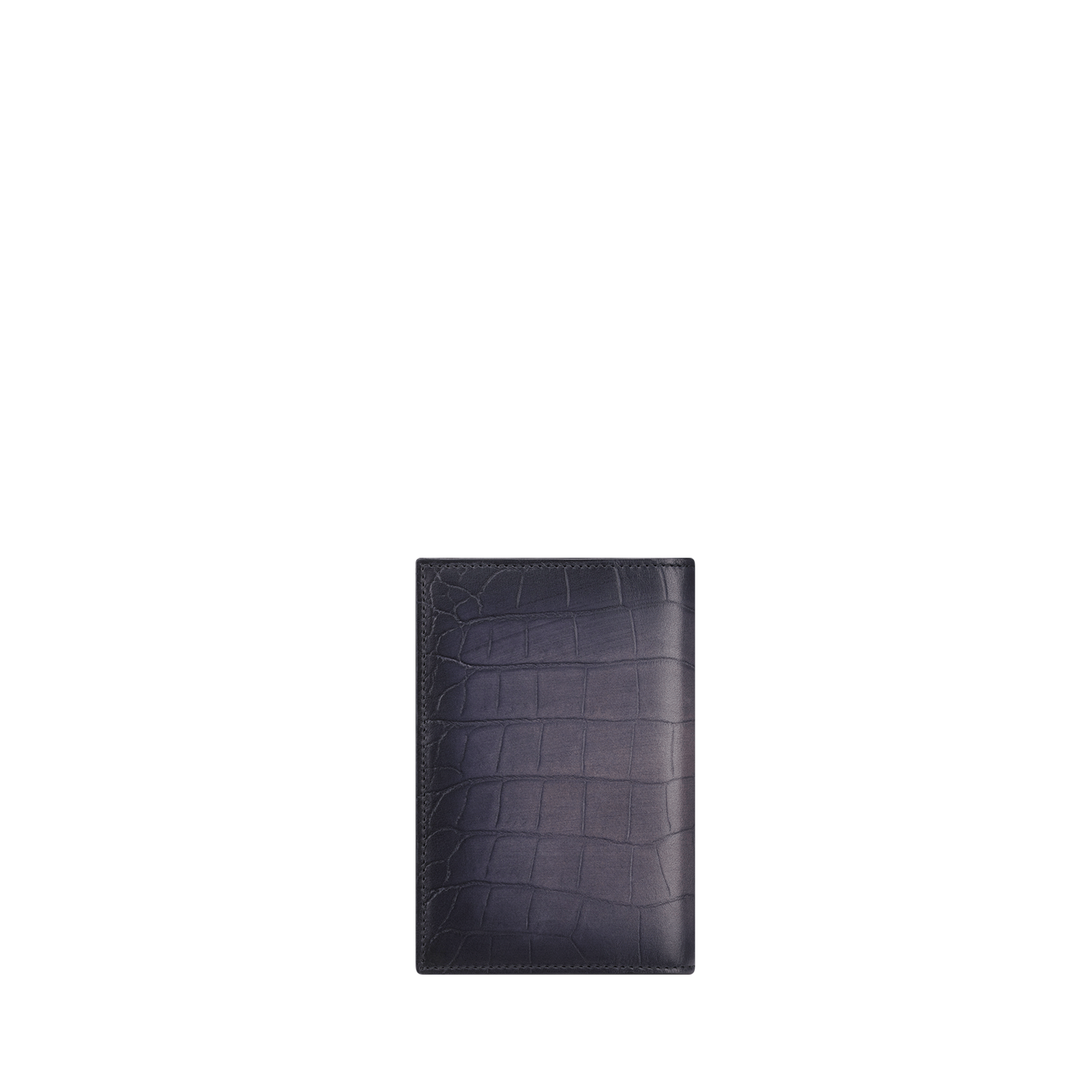 Titular del pasaporte