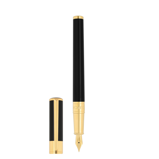 270202 - STDUPONT - International - Fountain pen - 3