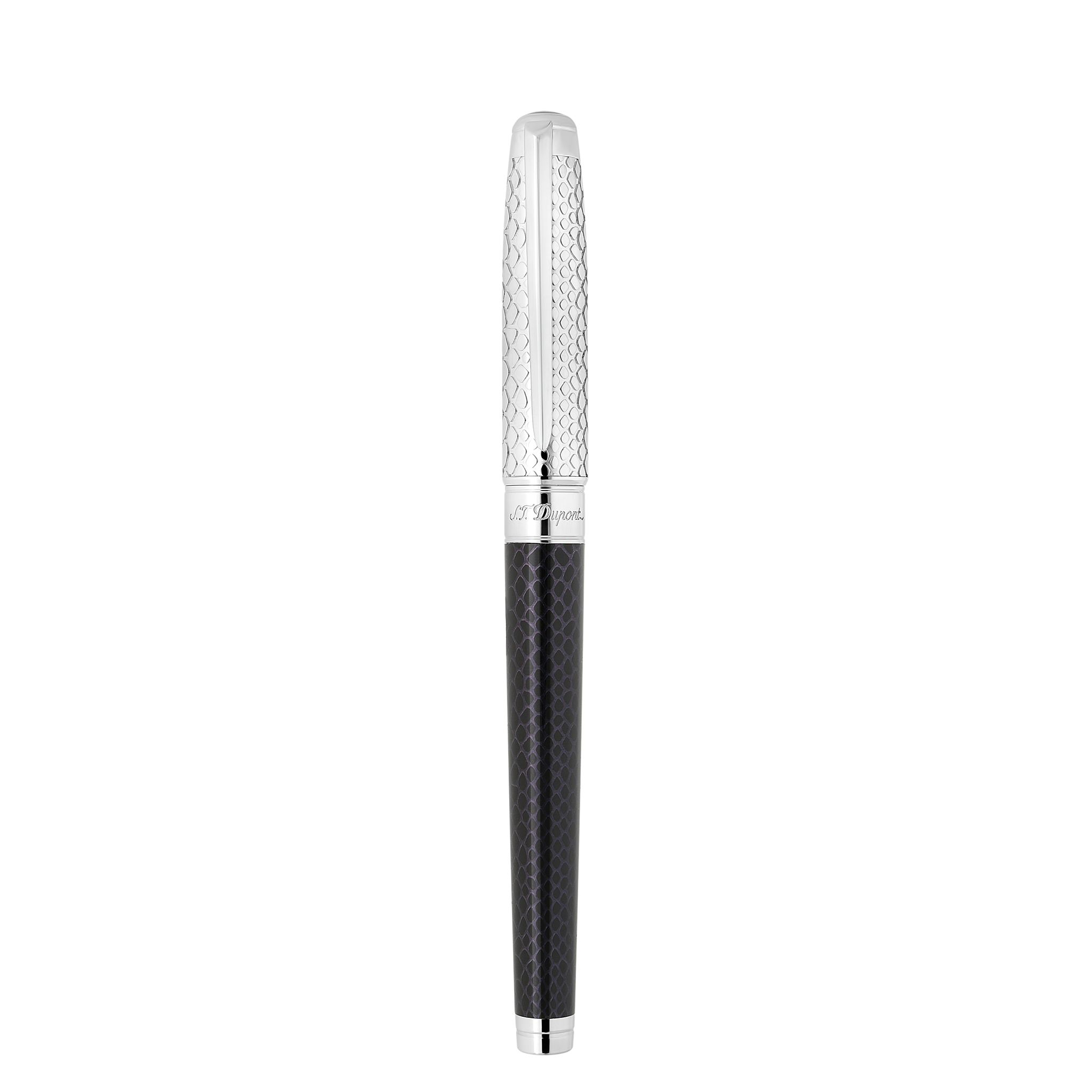 Fountain pen large