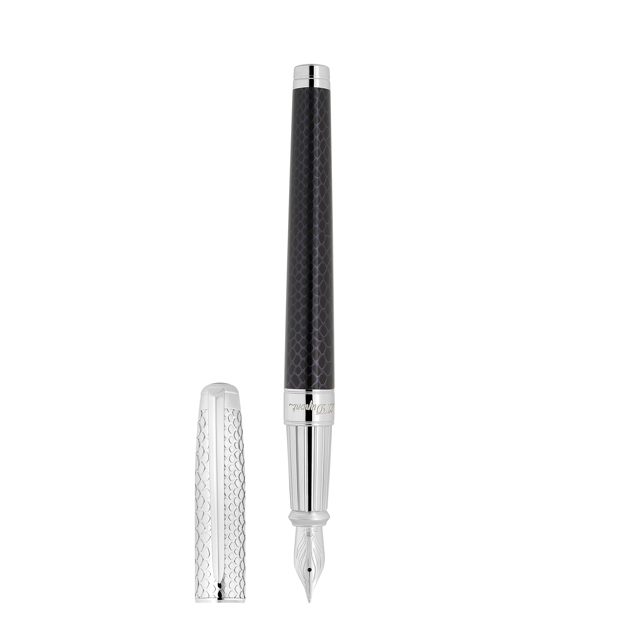 Fountain pen large