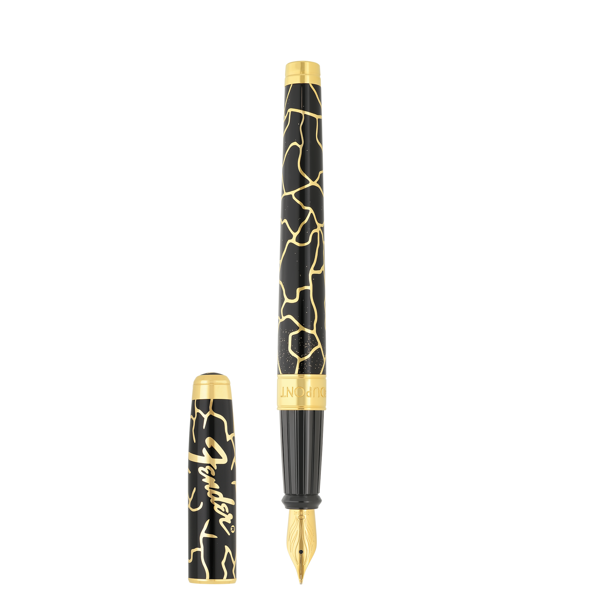 Fountain pen large