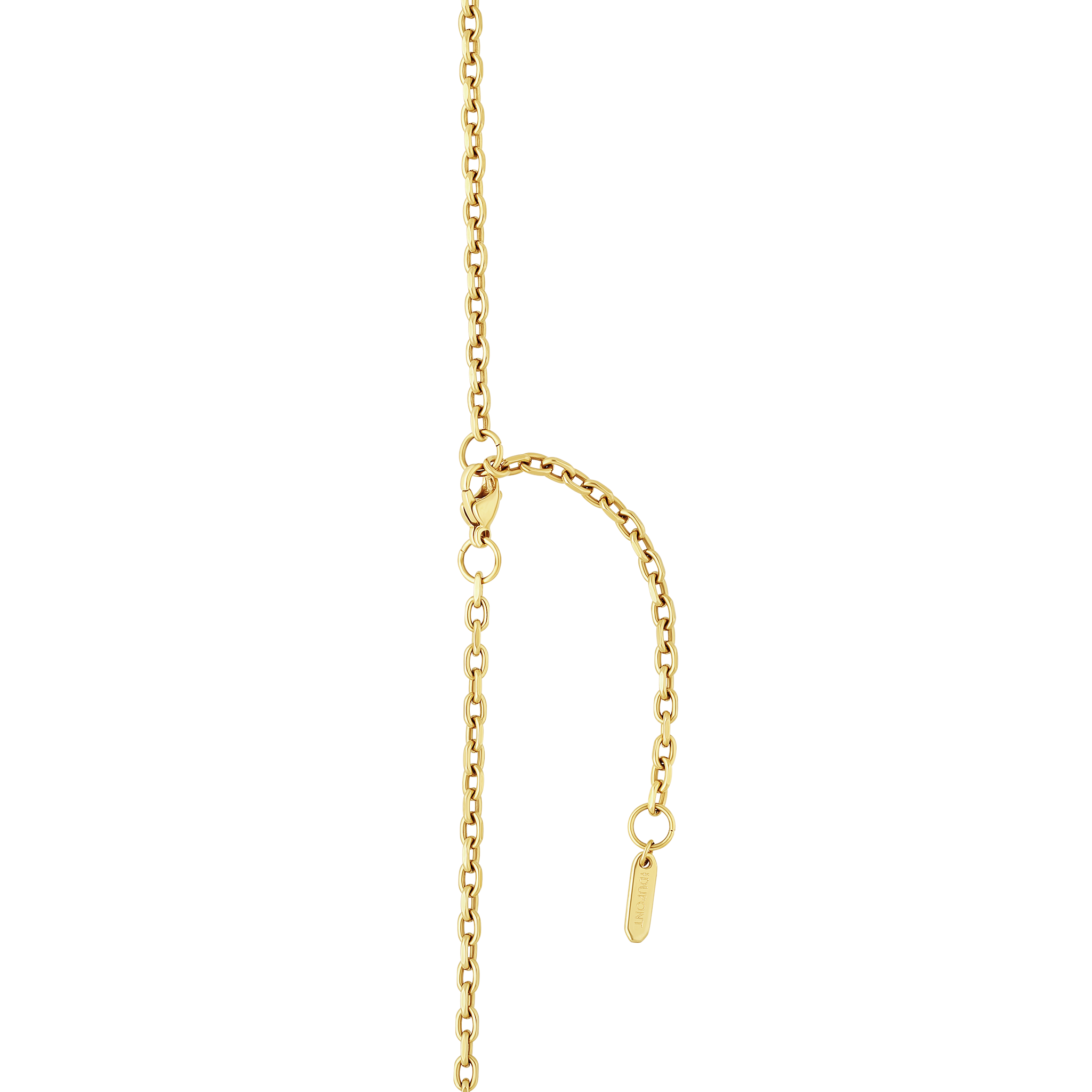 rotulador